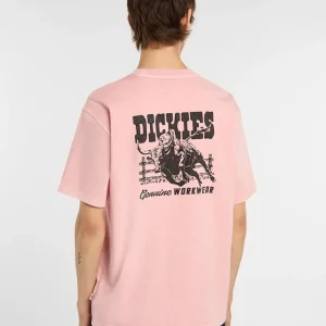 dickies camiseta buchtell