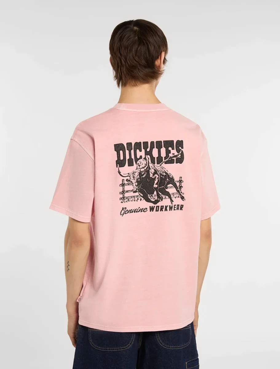 dickies camiseta buchtell