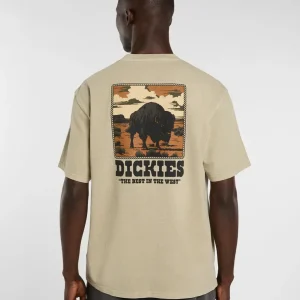 dickies camiseta darrtown eucalyptus