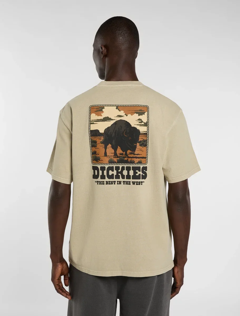 dickies camiseta darrtown eucalyptus