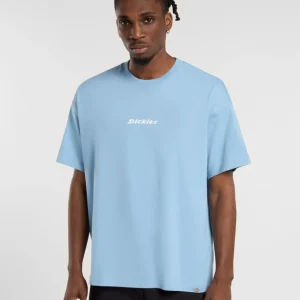 dickies camiseta enterprise glaciar