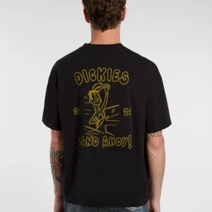 dickies camiseta decartuville  black