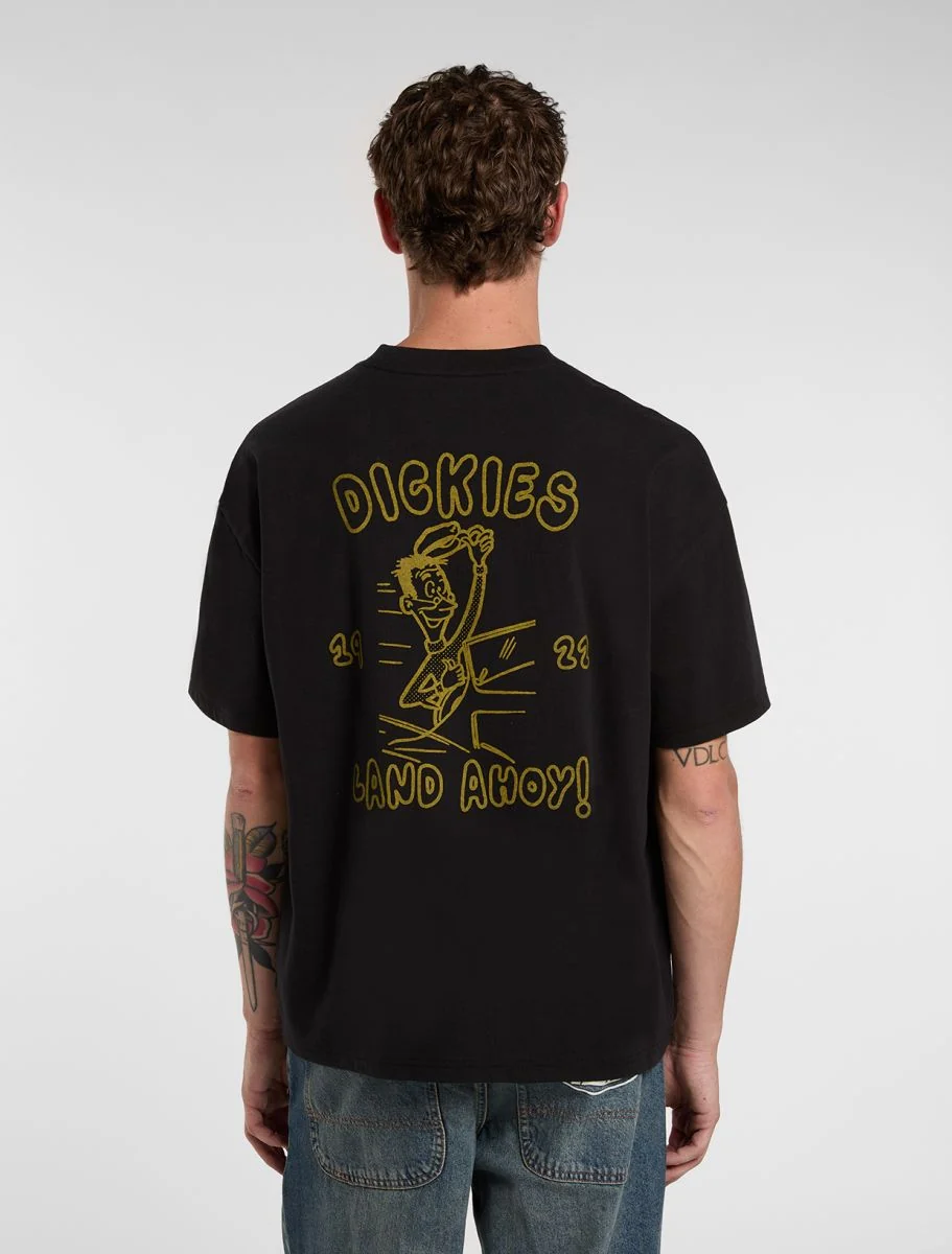 dickies camiseta decartuville  black